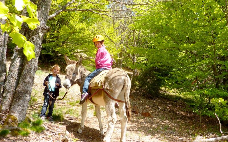 balade-ane-ardeche2